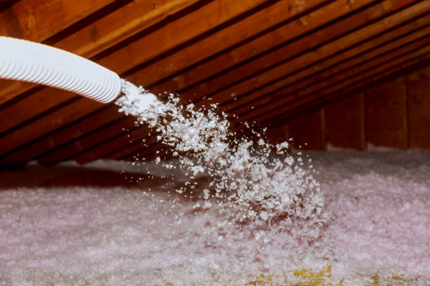 Best Specialized Insulation Services in Delphos, OH